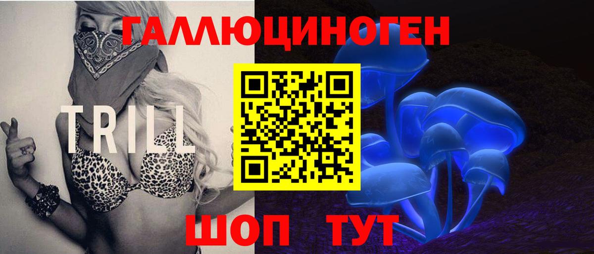Галлюциногенные грибы Psilocybine cubensis Псков