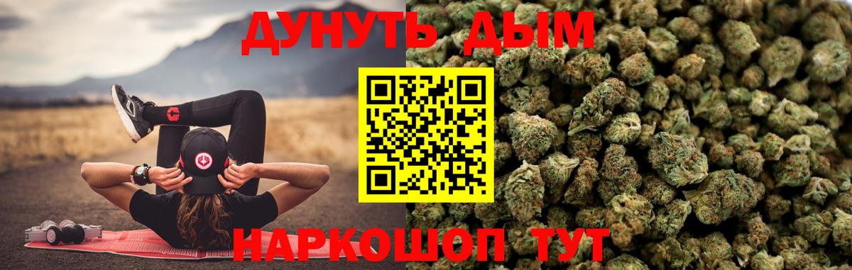 Конопля конопля Псков